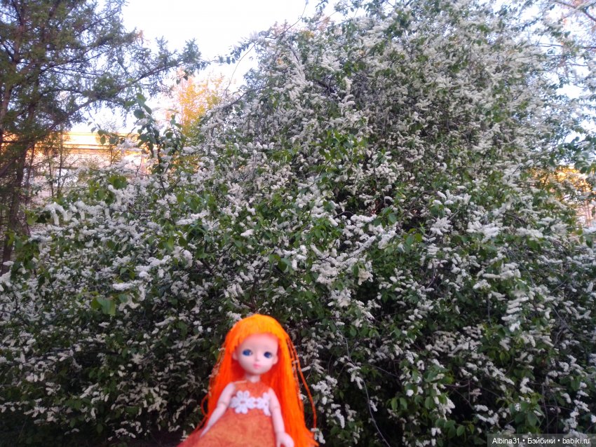 Питер май 2024 год — Куклы Baboliy (Баболи