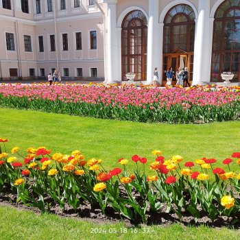 Питер май 2024 год