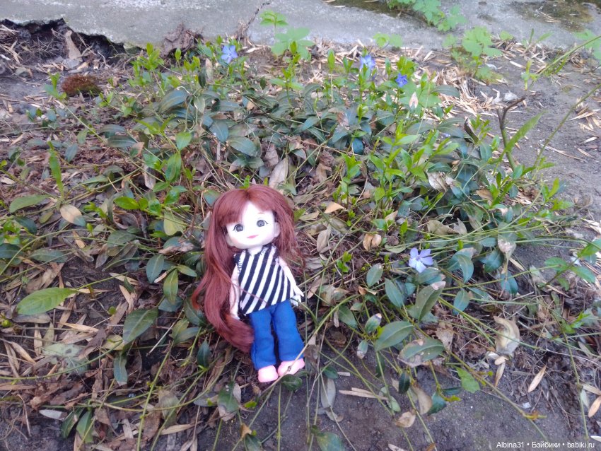 Питер. Май 2024 — Разные шарнирные куклы (не БЖД): редкие (фото 4)