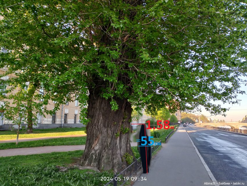 Питер. Май 2024 — Разные шарнирные куклы (не БЖД): редкие