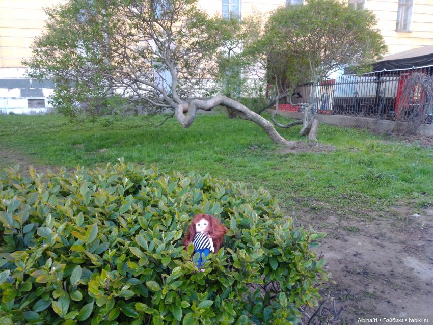 Питер май 2024 год (4) — Разные шарнирные куклы (не БЖД): редкие