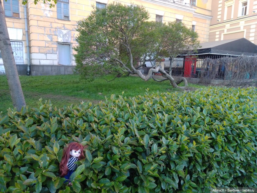 Питер май 2024 год (4) — Разные шарнирные куклы (не БЖД): редкие