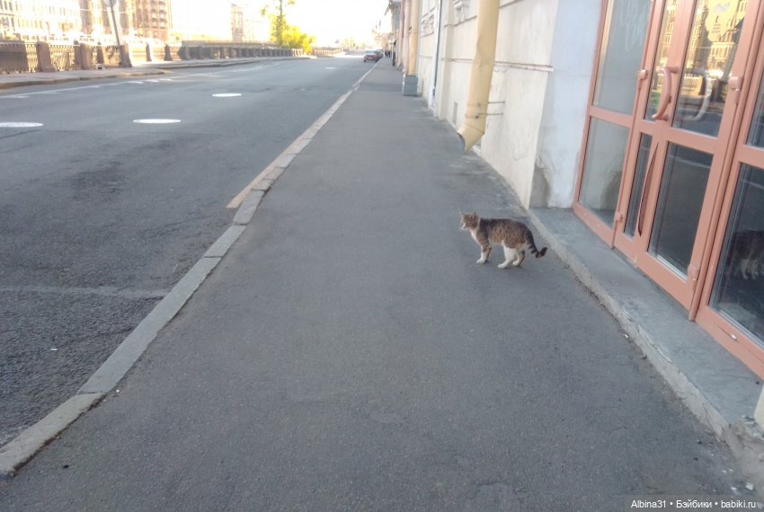 Питер май 2024 год (4) — Разные шарнирные куклы (не БЖД): редкие