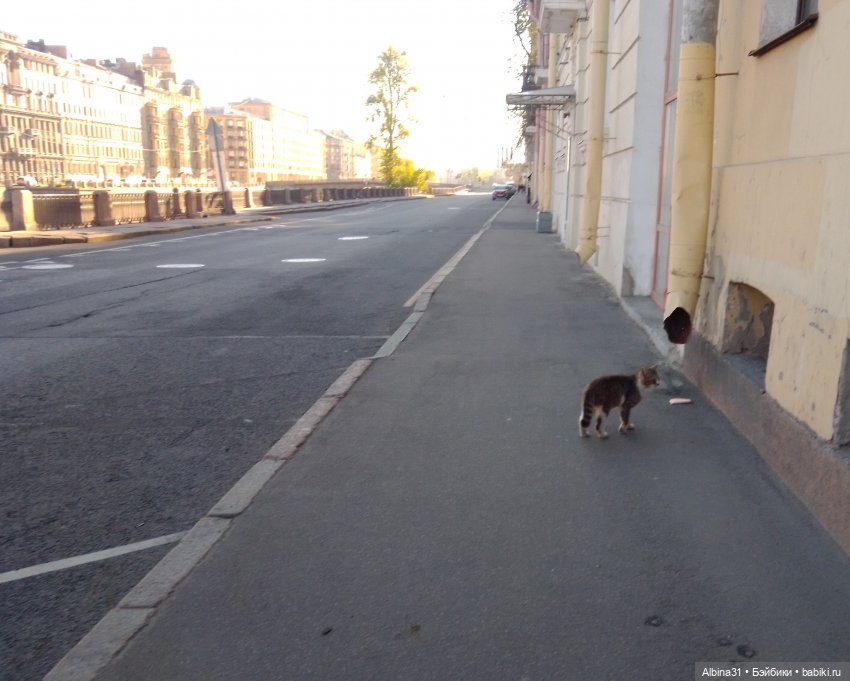 Питер май 2024 год (4) — Разные шарнирные куклы (не БЖД): редкие