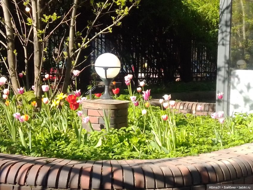 Питер май 2024 год (4) — Разные шарнирные куклы (не БЖД): редкие