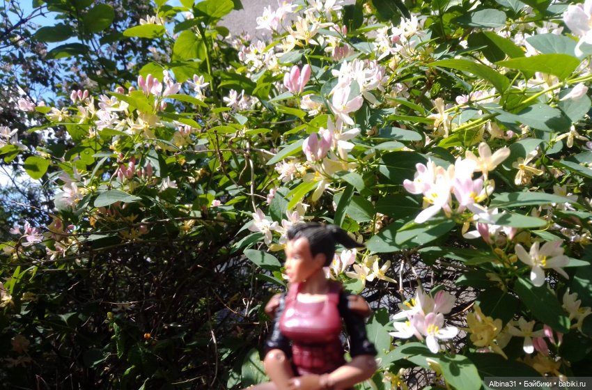 Май. Июнь. Куклы. 2024 год