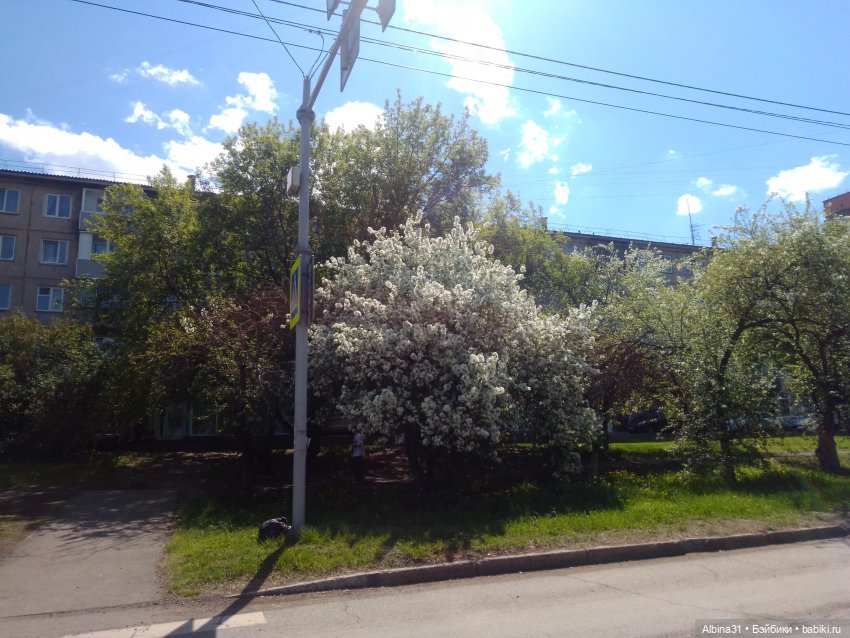 Май. Июнь. Куклы. 2024 год (фото 8)