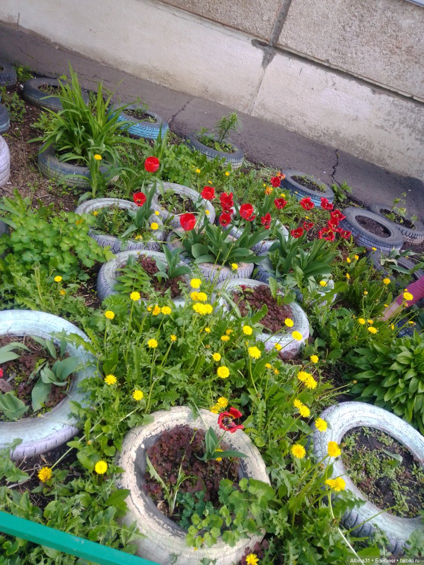 Май. Июнь. Куклы. 2024 год