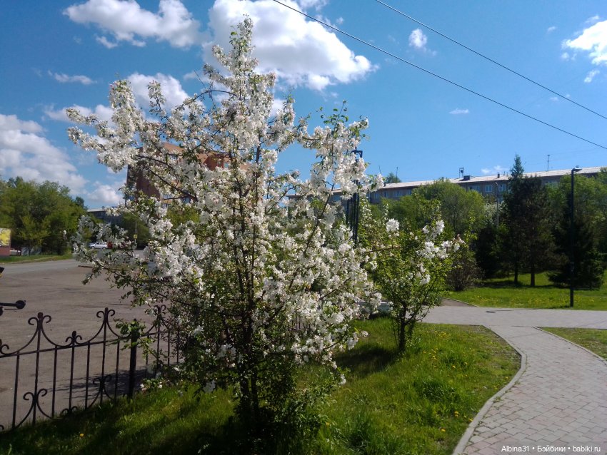 Май. Июнь. Куклы. 2024 год (фото 6)