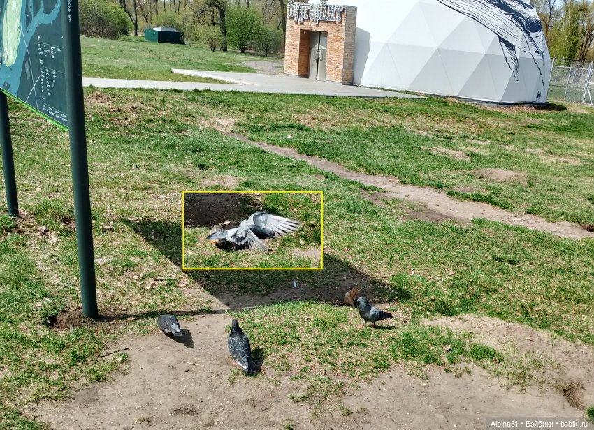 На остров к сусликам — Куклы Baboliy (Баболи