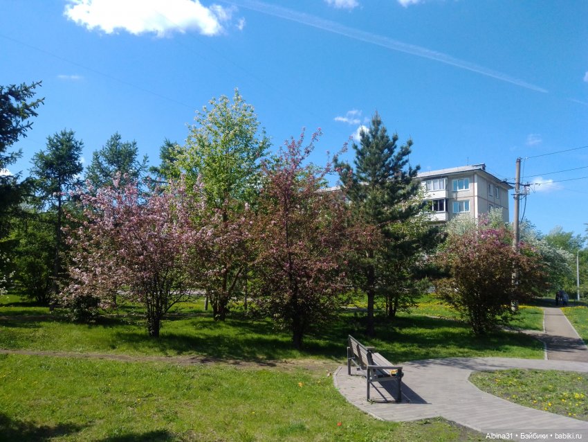 Май. Июнь. Куклы. 2024 год (фото 7)