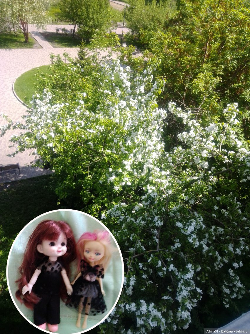 Май. Июнь. Куклы. 2024 год