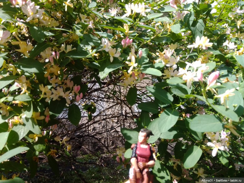 Май. Июнь. Куклы. 2024 год