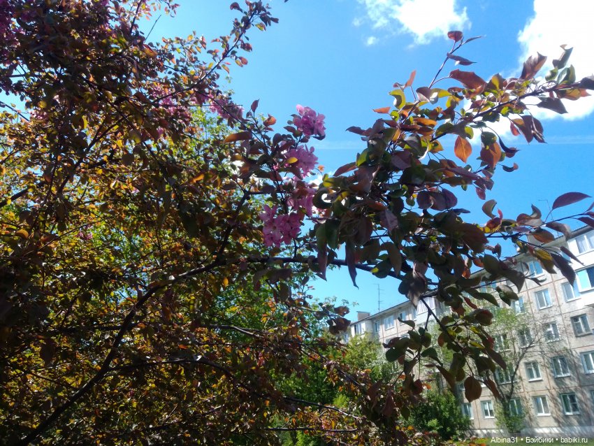 Май. Июнь. Куклы. 2024 год (фото 4)