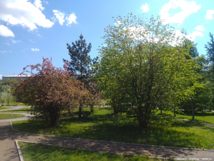 Май. Июнь. Куклы. 2024 год (фото 3)