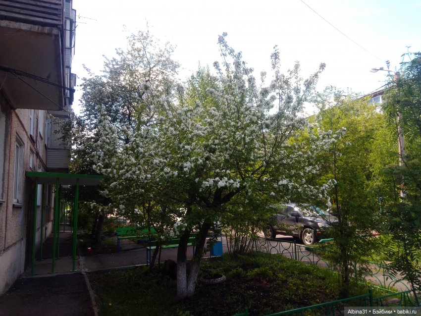 Май. Июнь. Куклы. 2024 год (фото 10)