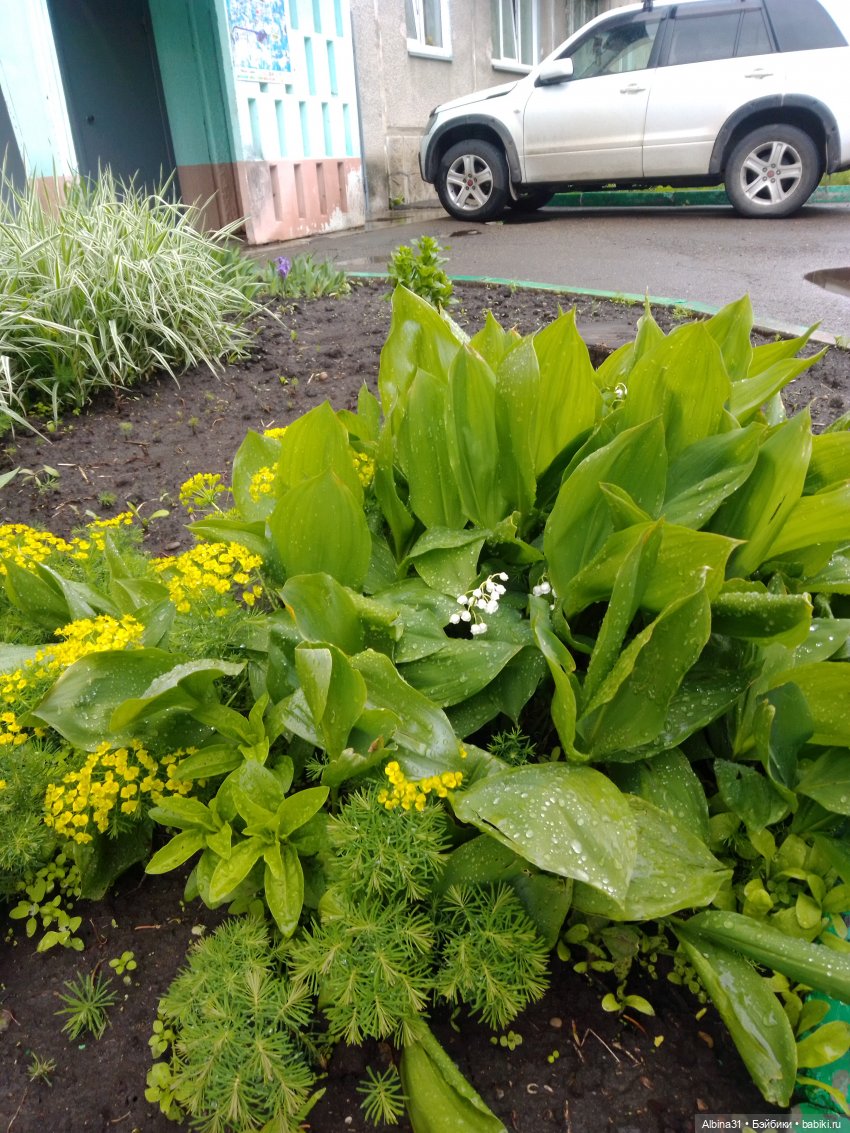 Май. Июнь. Куклы. 2024 год