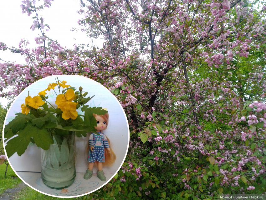 Май. Июнь. Куклы. 2024 год