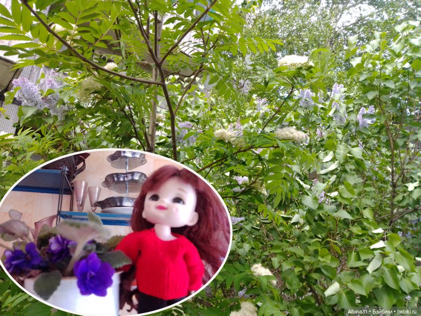 Май. Июнь. Куклы. 2024 год