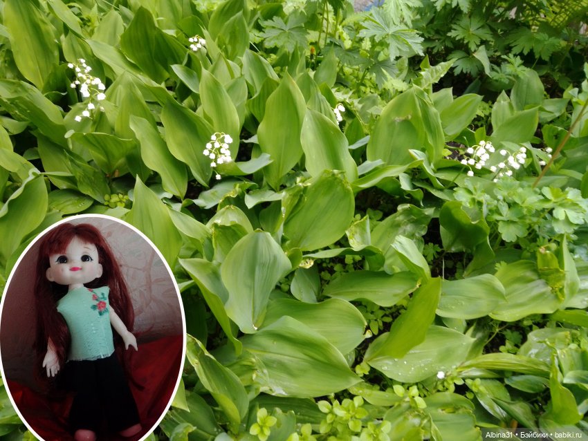 Май. Июнь. Куклы. 2024 год