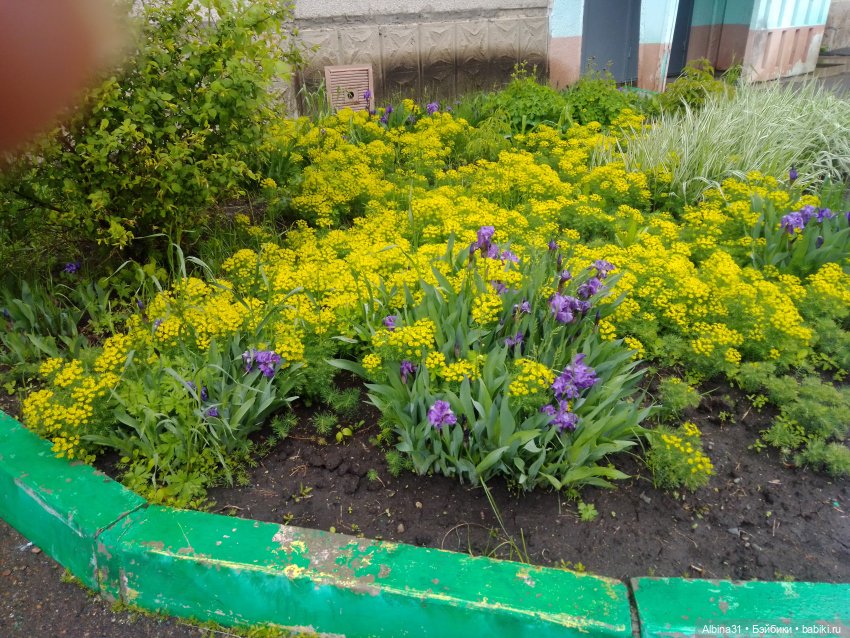 Май. Июнь. Куклы. 2024 год