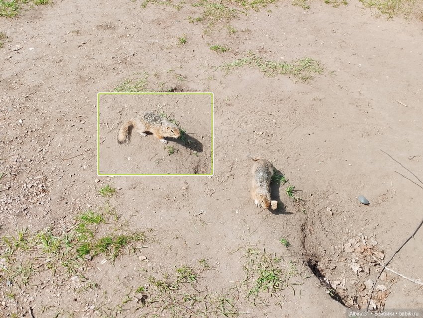 На остров к сусликам — Куклы Baboliy (Баболи (фото 9)