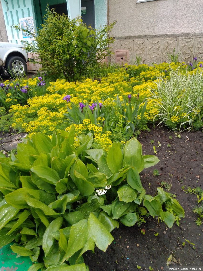 Май. Июнь. Куклы. 2024 год