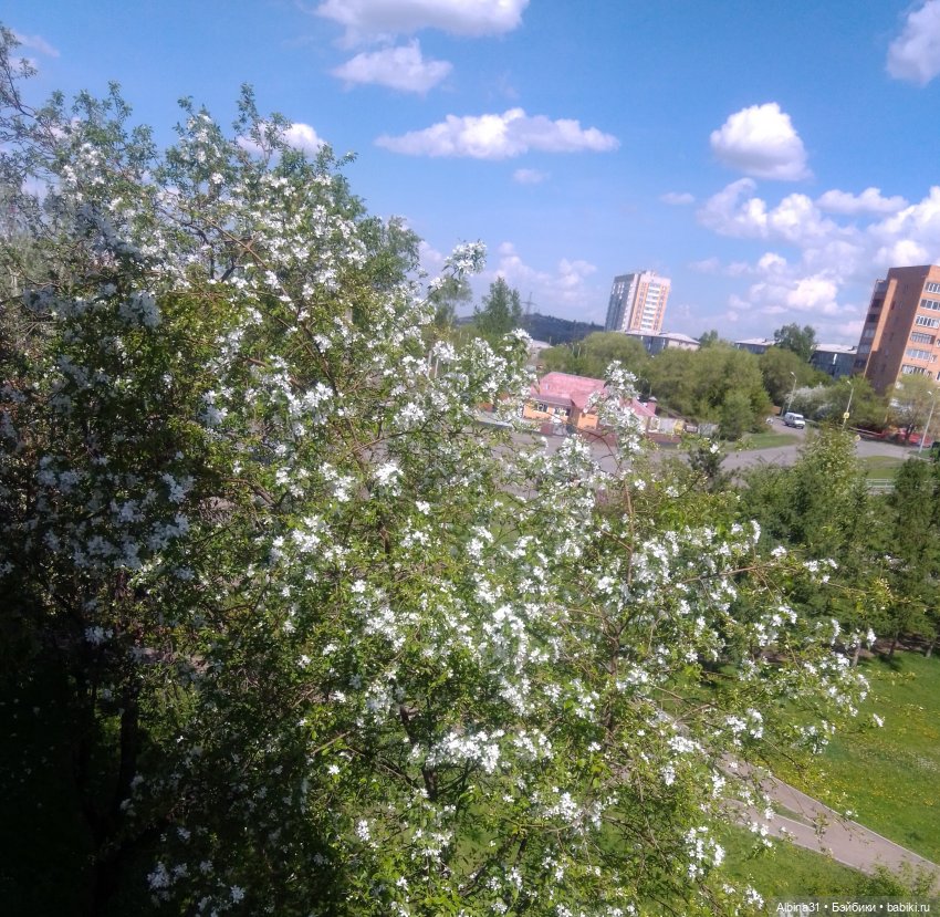 Май. Июнь. Куклы. 2024 год