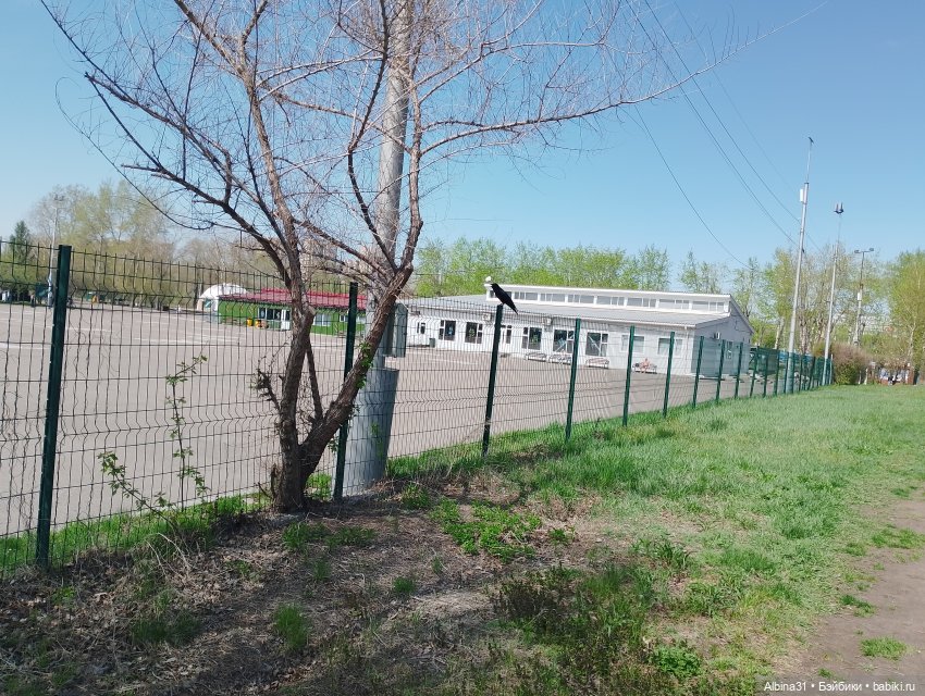 На остров к сусликам — Куклы Baboliy (Баболи (фото 5)