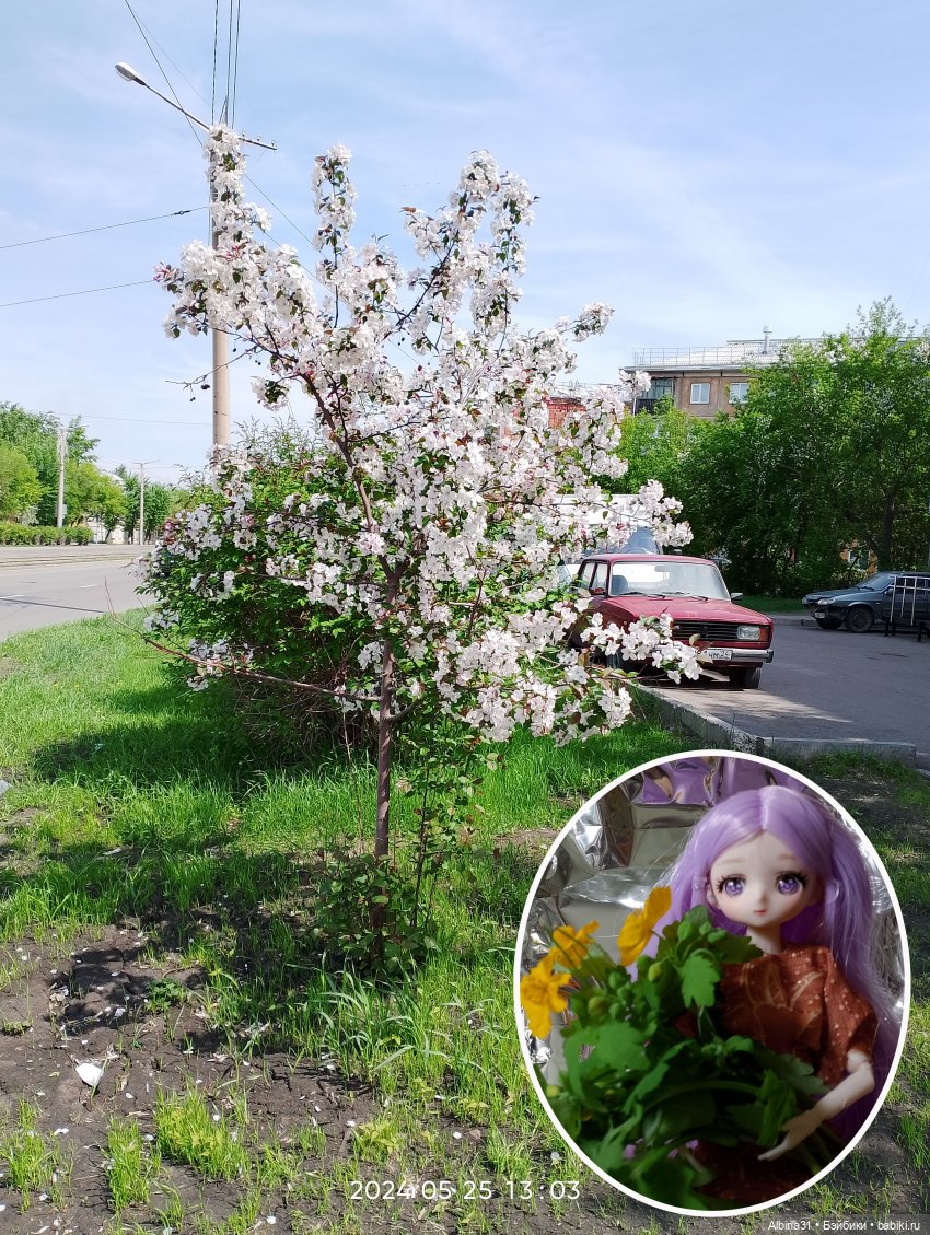 Май. Июнь. Куклы. 2024 год