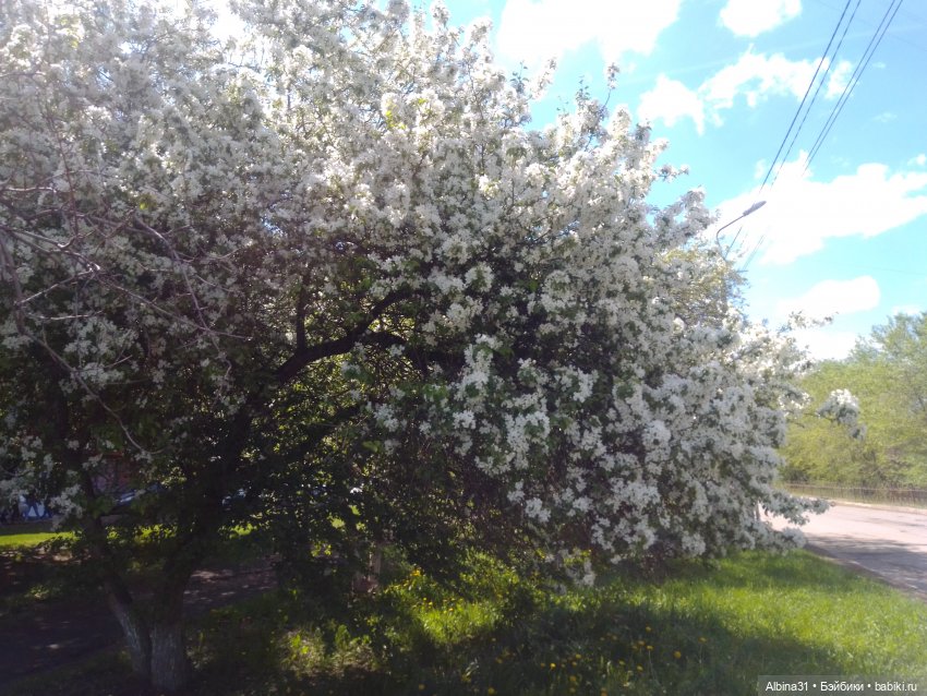 Май. Июнь. Куклы. 2024 год (фото 9)