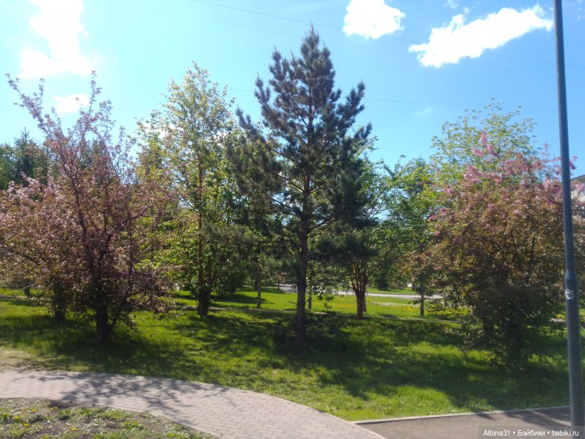 Май. Июнь. Куклы. 2024 год (фото 5)