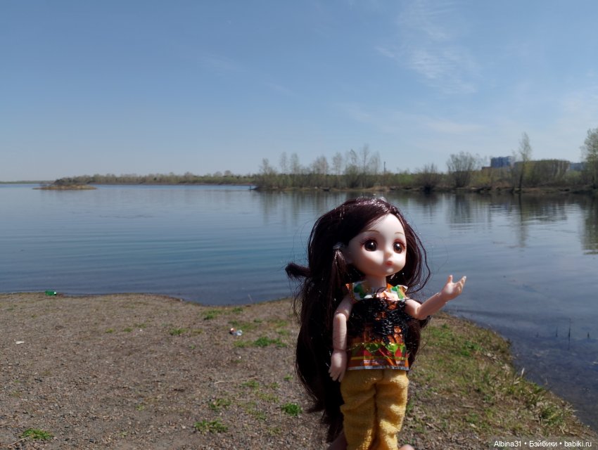 На остров к сусликам — Куклы Baboliy (Баболи (фото 2)