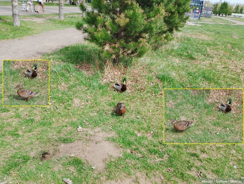 На остров к сусликам — Куклы Baboliy (Баболи