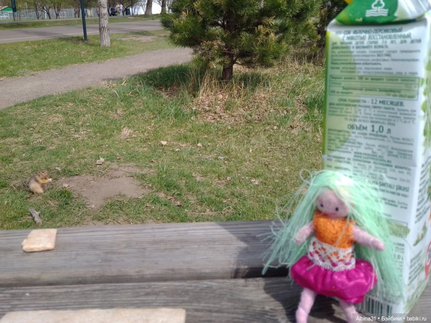 На остров к сусликам — Куклы Baboliy (Баболи