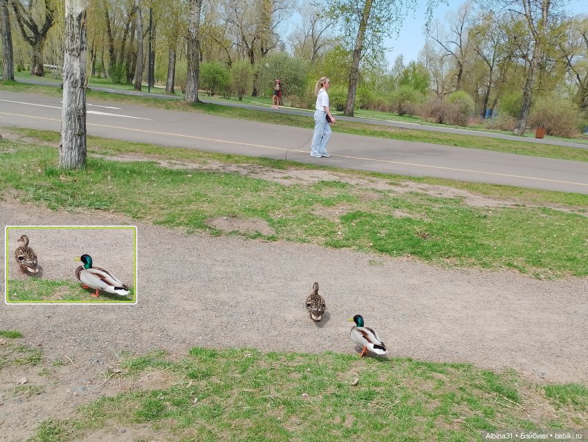 На остров к сусликам — Куклы Baboliy (Баболи