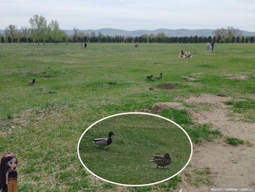 На остров к сусликам — Куклы Baboliy (Баболи