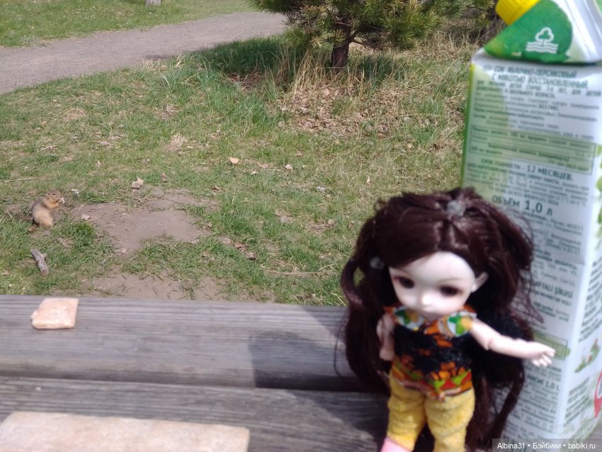 На остров к сусликам — Куклы Baboliy (Баболи