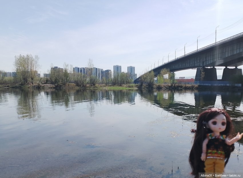 На остров к сусликам — Куклы Baboliy (Баболи