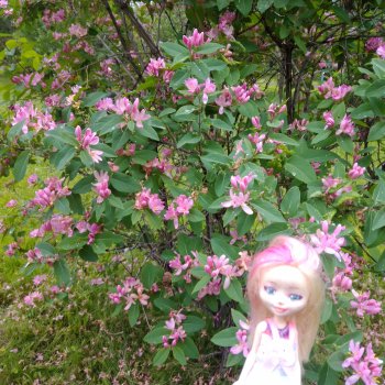 Ура! Открылся парк