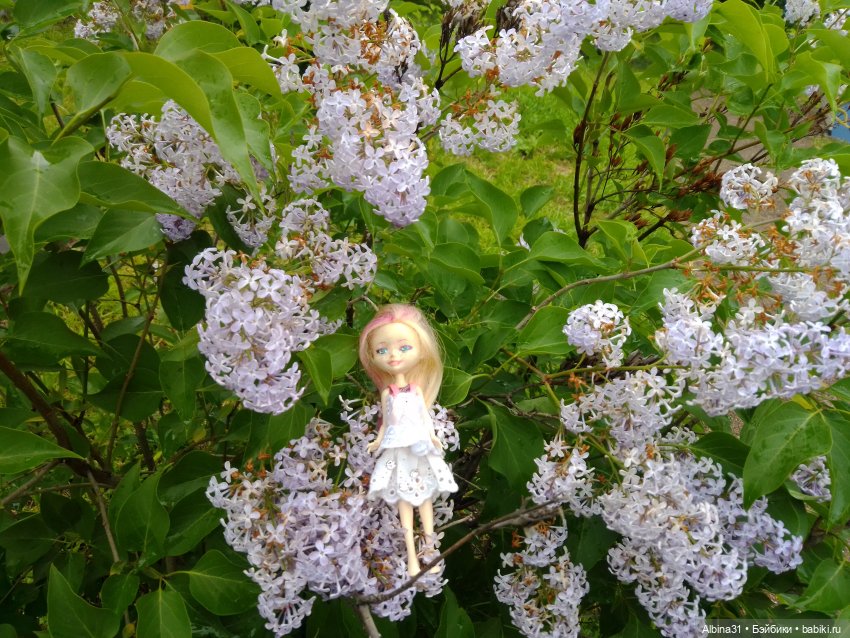 Ура! Открылся парк — Игровые куклы разных производителей (Разное): редкие бренды