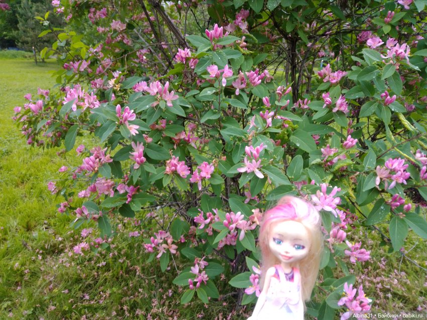 Ура! Открылся парк — Игровые куклы разных производителей (Разное): редкие бренды