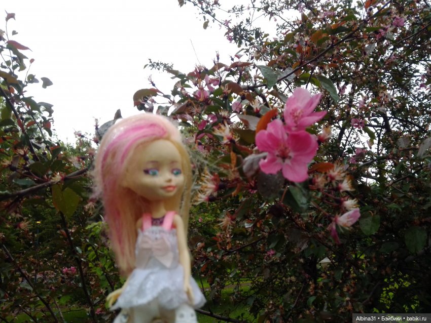 Ура! Открылся парк — Игровые куклы разных производителей (Разное): редкие бренды