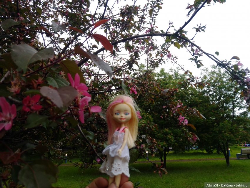 Ура! Открылся парк — Игровые куклы разных производителей (Разное): редкие бренды