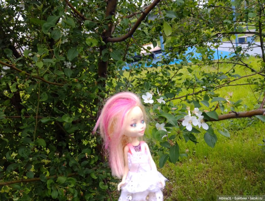 Ура! Открылся парк — Игровые куклы разных производителей (Разное): редкие бренды