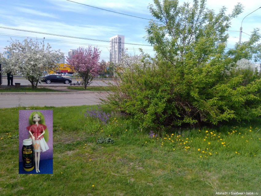 Май. Июнь. Куклы. 2024 год (фото 2)