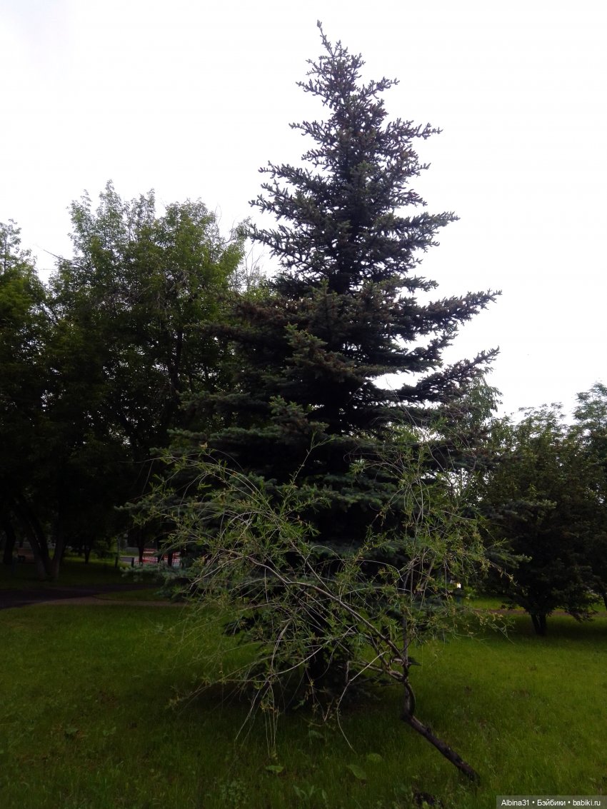 Ура! Открылся парк — Игровые куклы разных производителей (Разное): редкие бренды