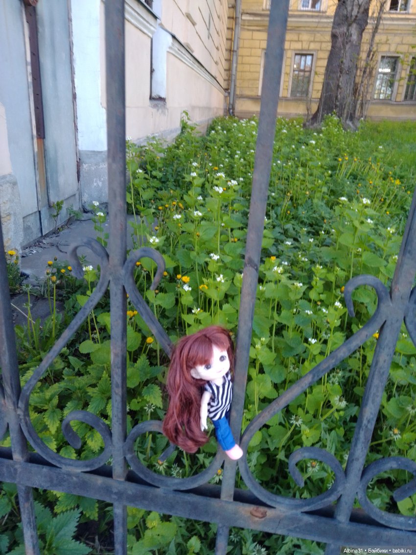 Питер. Май 2024 (5) — Разные шарнирные куклы (не БЖД): редкие