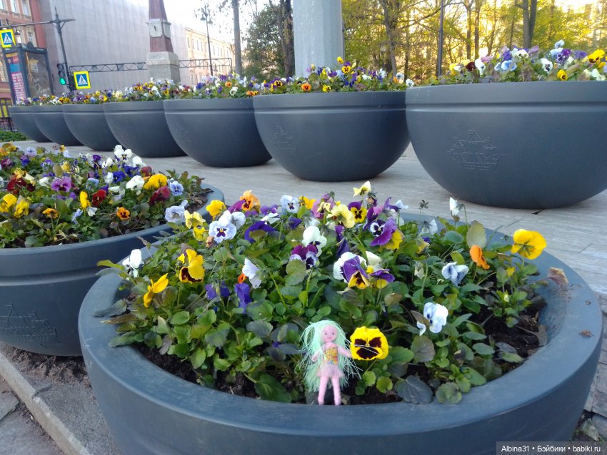 Питер. Май 2024 (5) — Разные шарнирные куклы (не БЖД): редкие