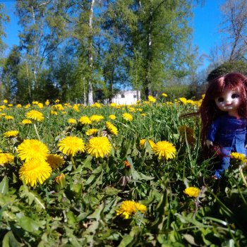 Питер. май 2024 год (6)